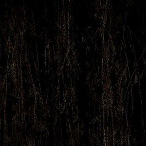 Meet your Posher, Benjamin